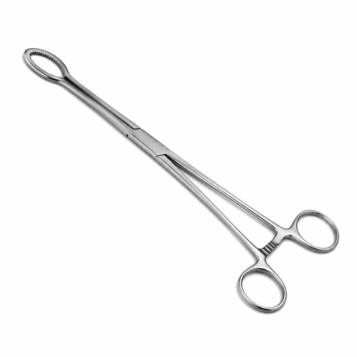 foerster sponge forceps 24cm